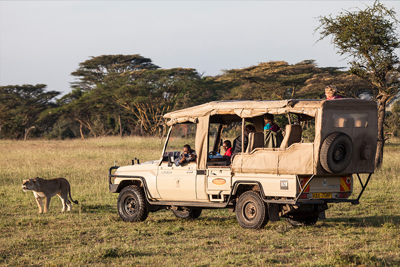 Safari Experience